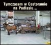 Tymczasem