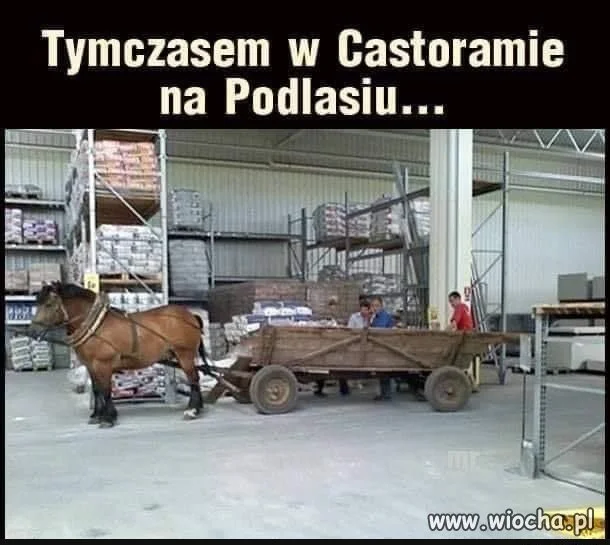 Tymczasem