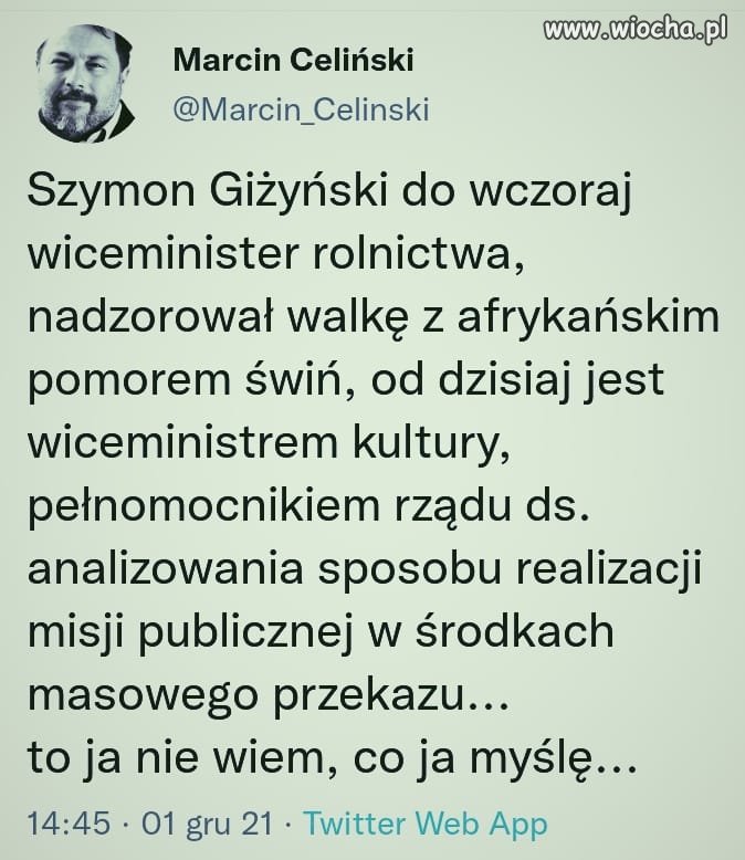 Od świń do kultury 