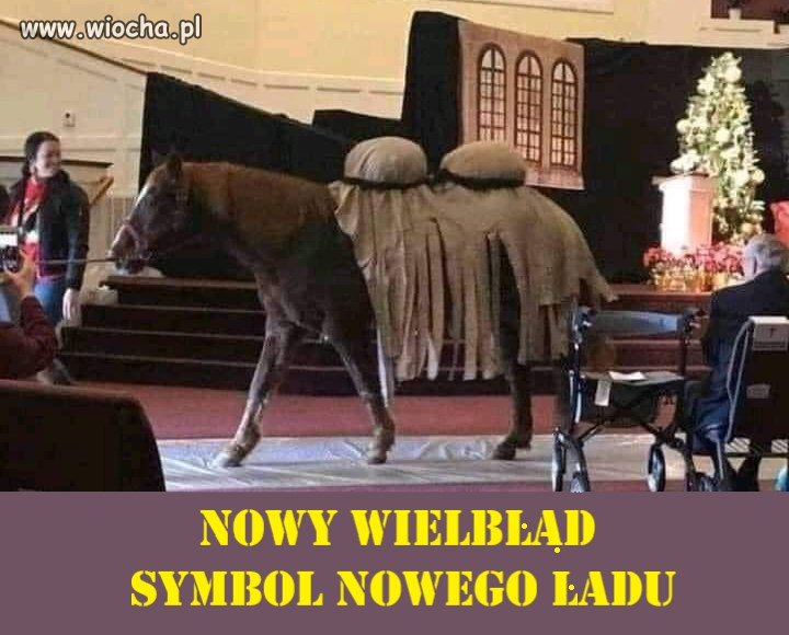 Nowy wielbłąd symbol Nowego Ładu