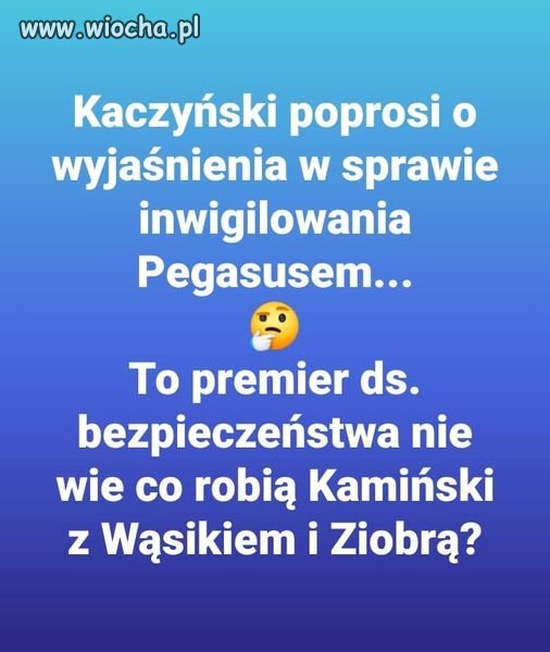 Oderwany od rzeczywistości pokurcz