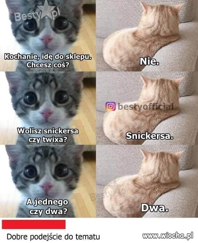 O co ci chodzi
