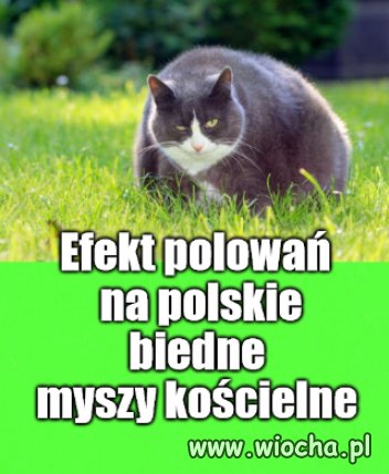 Na kościelnej diecie tak się wygląda