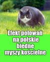 Na kościelnej diecie tak się wygląda