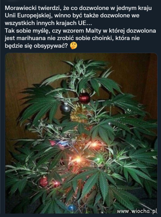 Co dozwolone w jednym kraju Unii Europejskiej, winno być także dozwolone we wszystkich innych krajach UE...