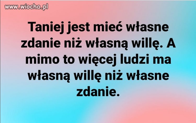 Bez komentarza