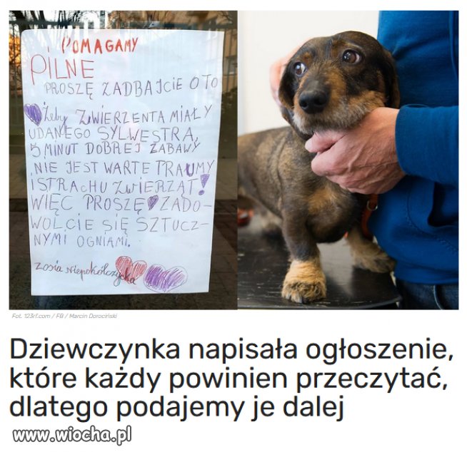 Proszę, zadbajcie o to, żeby zwierzęta miały udanego Sylwestra