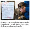 Proszę, zadbajcie o to, żeby zwierzęta miały udanego Sylwestra