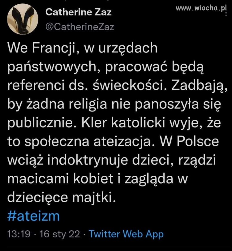 Bez tytułu 