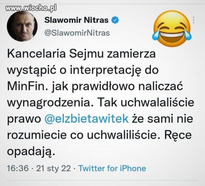 Pisowskie błazny