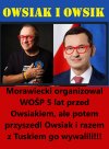 Owsiak i owsik   