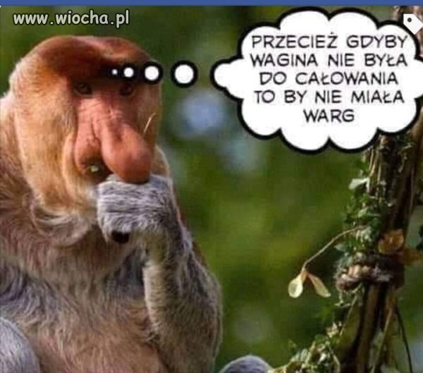 To są