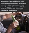 Kto popiera