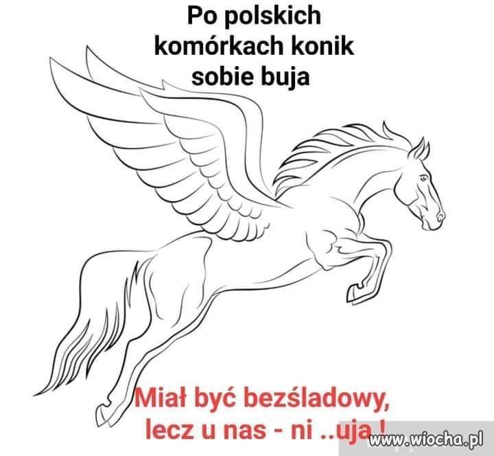 Popieram