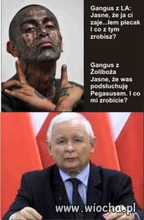 Gangusy dwa