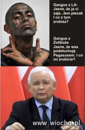 Gangusy dwa