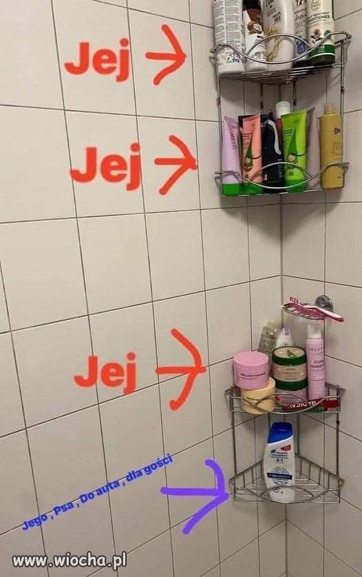 Podział. 