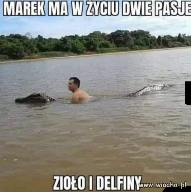 Heheszki 