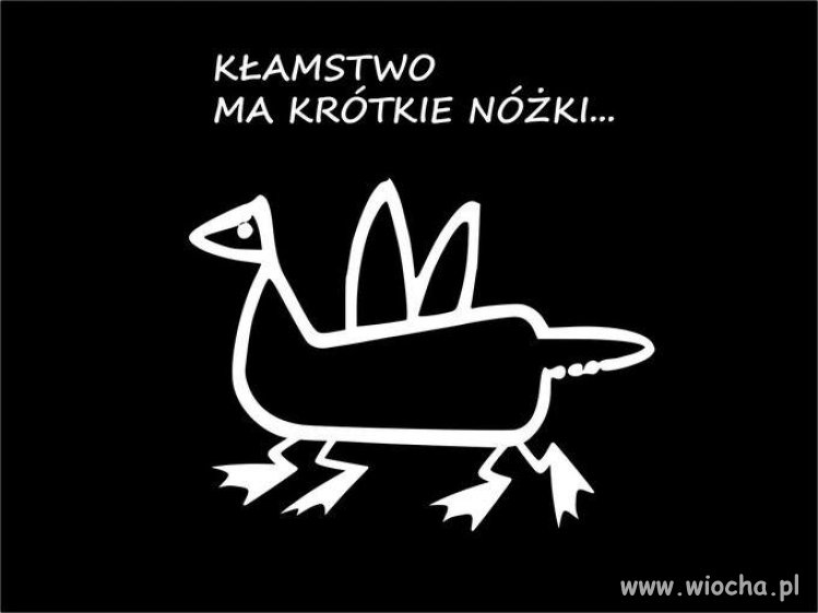Kłamstwo ma krótkie ... i kacze nóżki