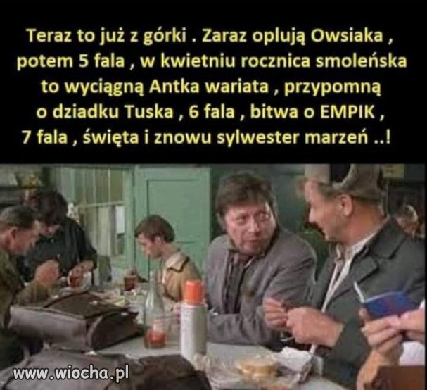 Pis jest bardzo przewidywalny