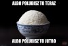 Mmm wypłata