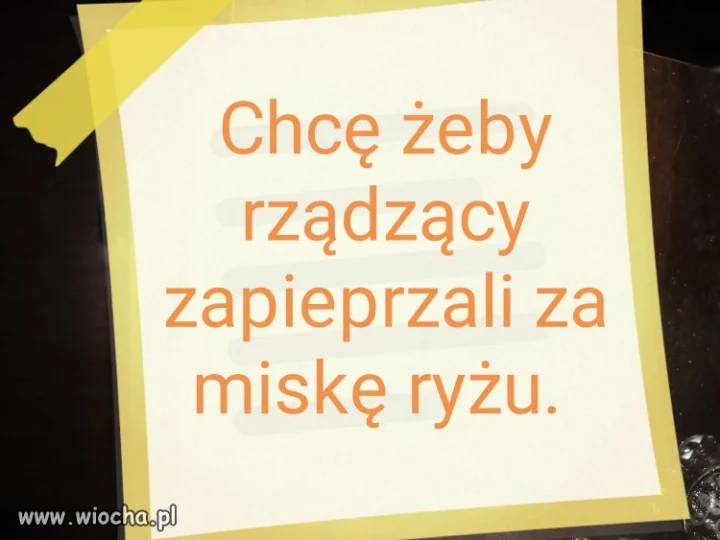 Bez tytułu. 