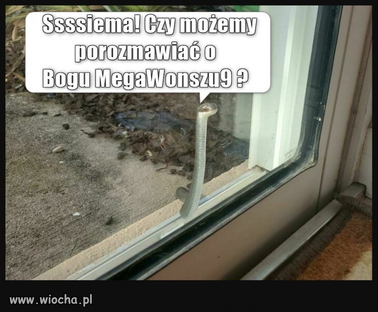 MegaWonsz9