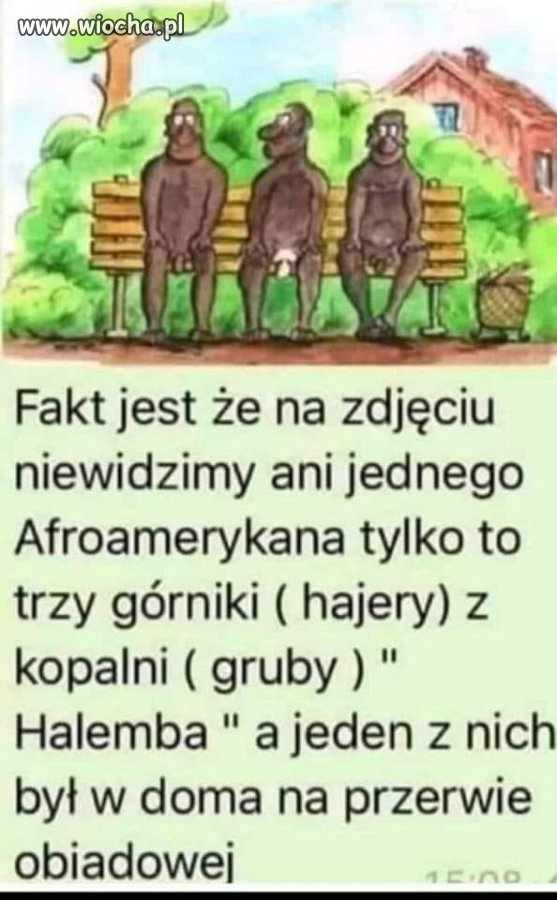 Tymczasem na Halembie 