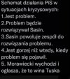 Schemat działania pisu w kryzysie