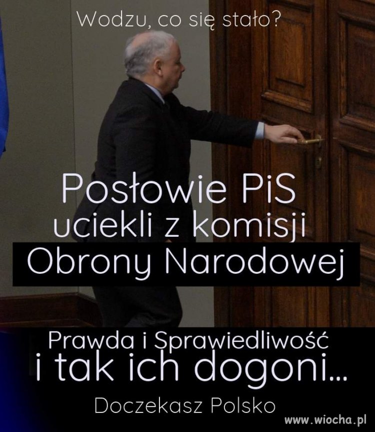 Jak szczury
