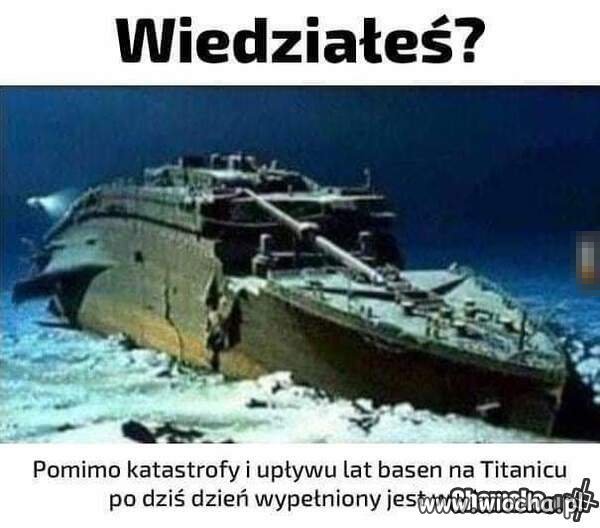 Taka ciekawostka.