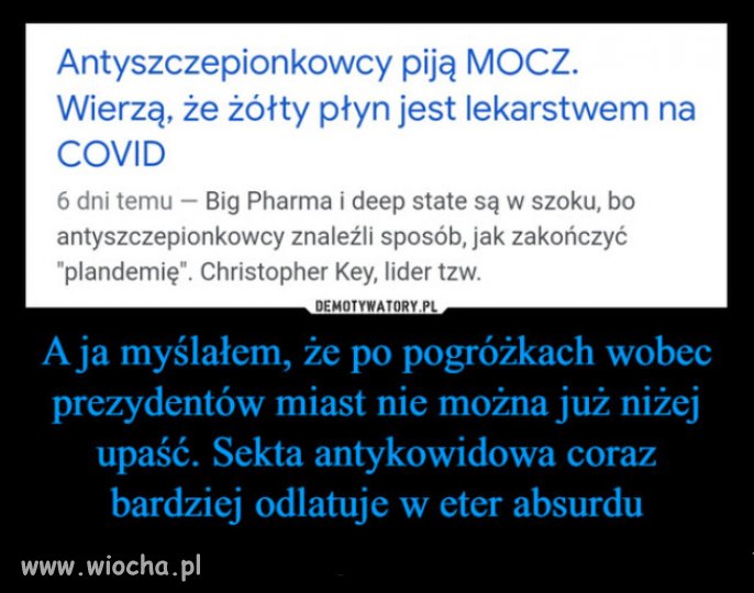 Za rzadow PiSu, głupota elektoratu dostała skrzydeł...
