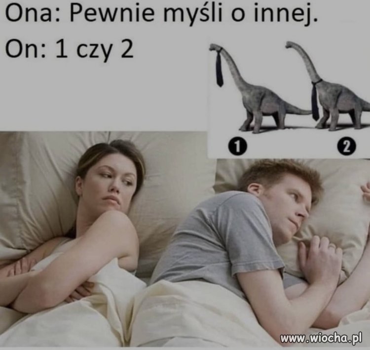 Ona i on