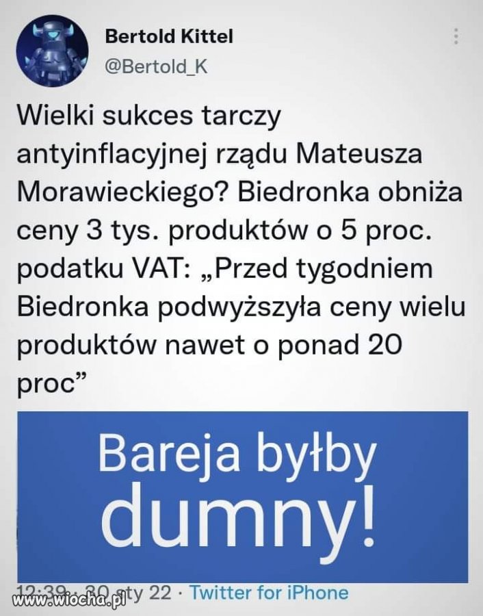 Bareja wiecznie żywy 