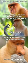 Czarny 