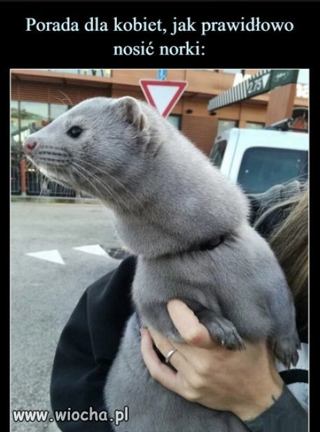 To proste, humanitarne i cywilizowane...