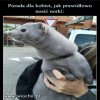To proste, humanitarne i cywilizowane...