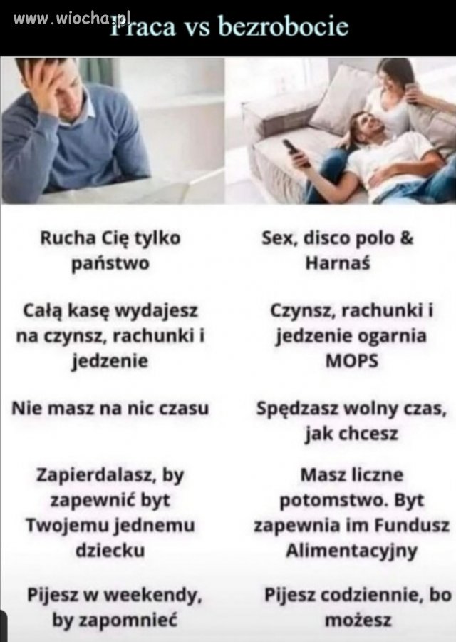 Fakty