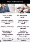 Fakty