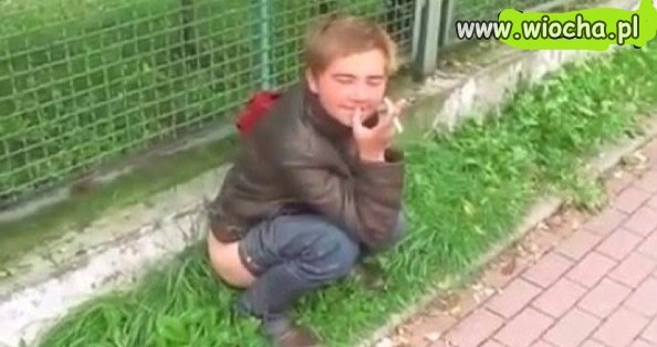 Posprzątaj po swoim psie (suce).