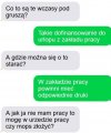 Problemy pisowców 