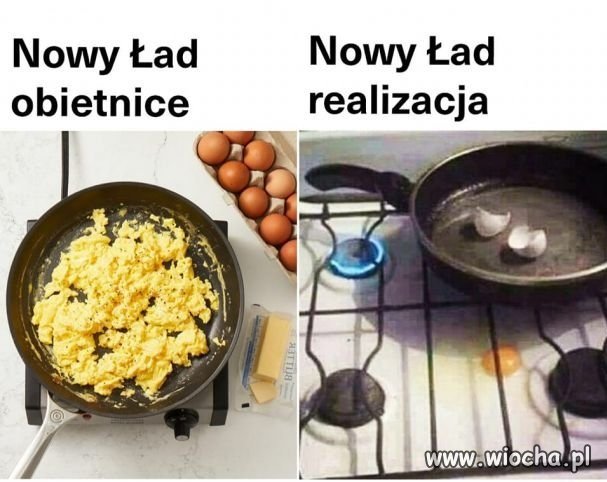 Coś w tym jest