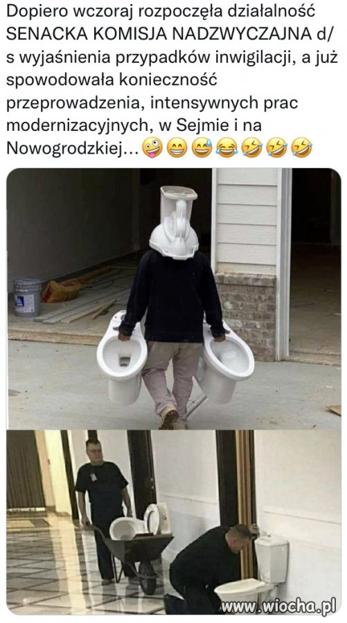 Już czują...