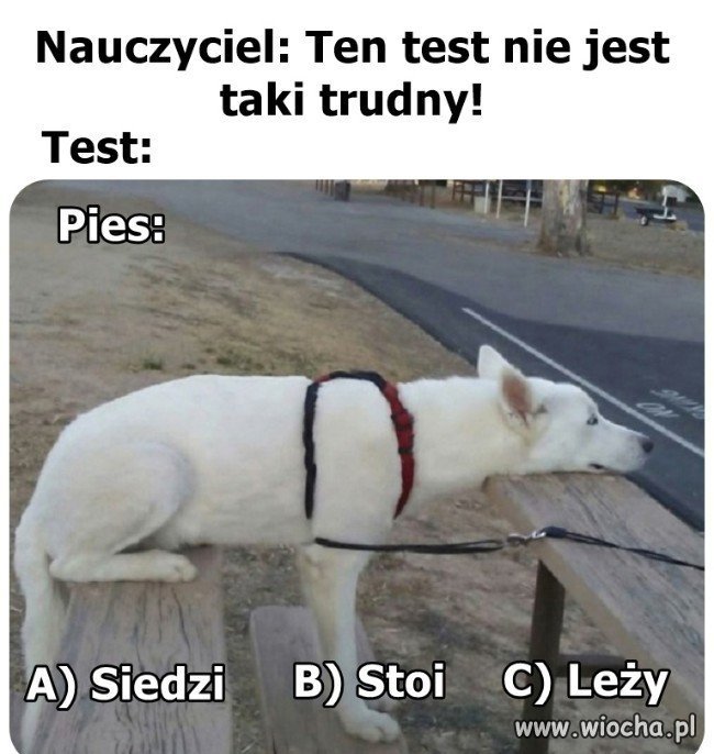 Test dla 