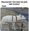 Test dla 