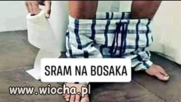 Bo tak. 