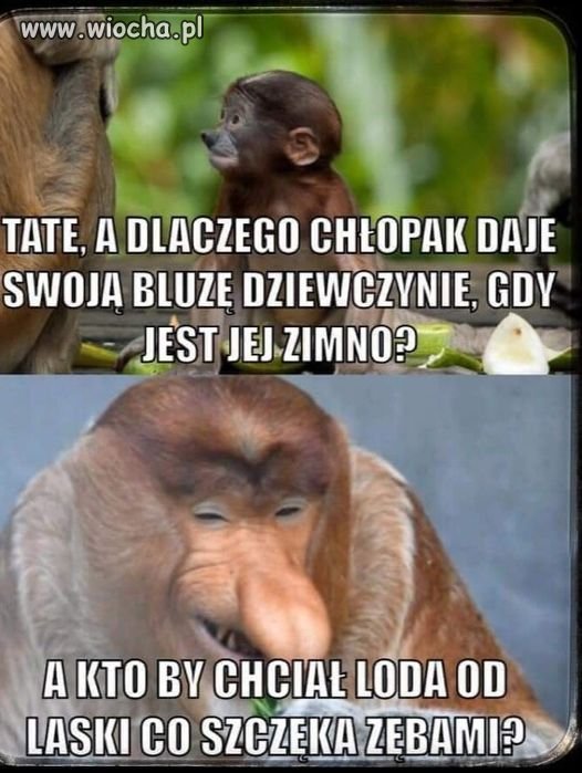 Fakt