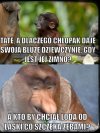 Fakt