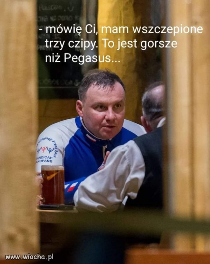 Trzy czipy. 