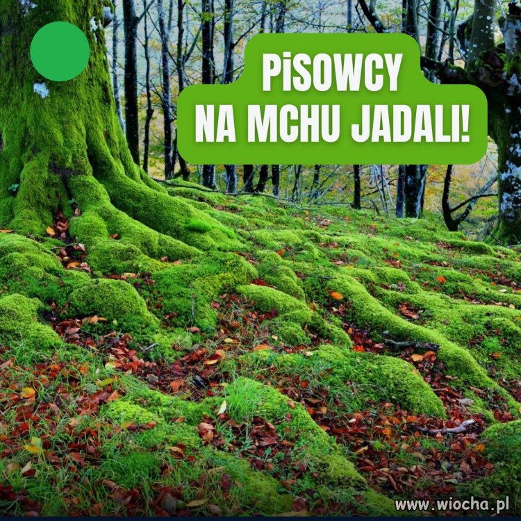 Przeczytaj szybciutko ... I już wiesz co nam dali 